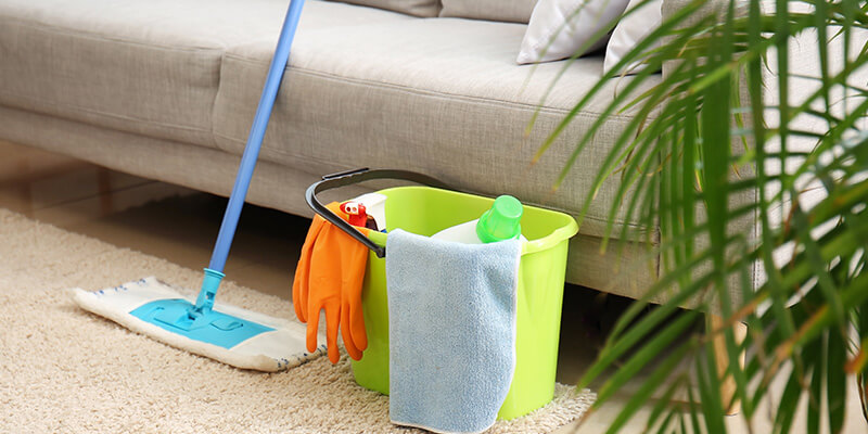 Benefits of Starting a Cleaning Business Within a Franchise